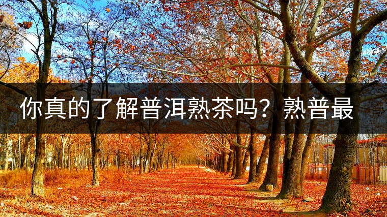 你真的了解普洱熟茶嗎？熟普最詳細的揭秘都在這里了。