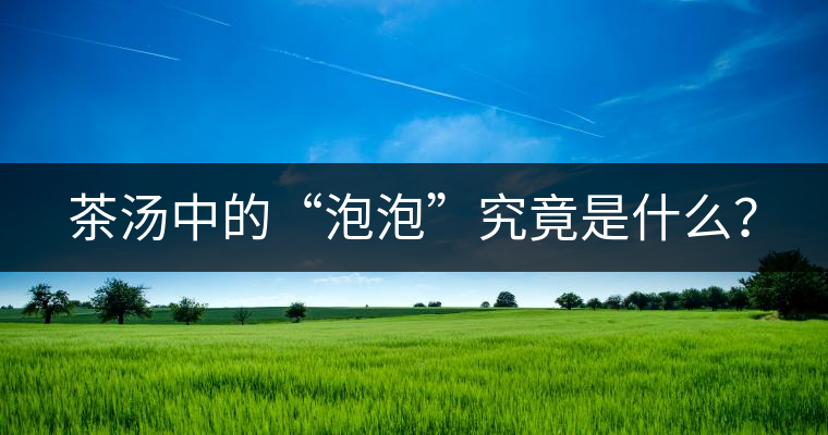 茶湯中的“泡泡”究竟是什么？
