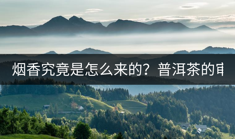 煙香究竟是怎么來(lái)的？普洱茶的審美困局。