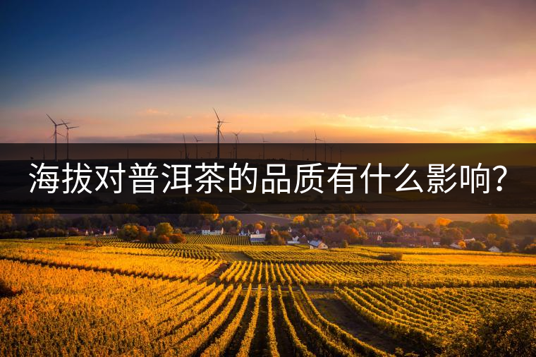 海拔對(duì)普洱茶的品質(zhì)有什么影響？