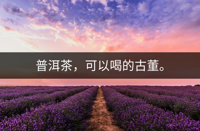 普洱茶，可以喝的古董。