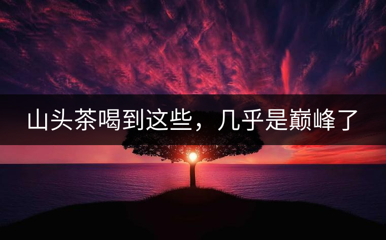 山頭茶喝到這些，幾乎是巔峰了