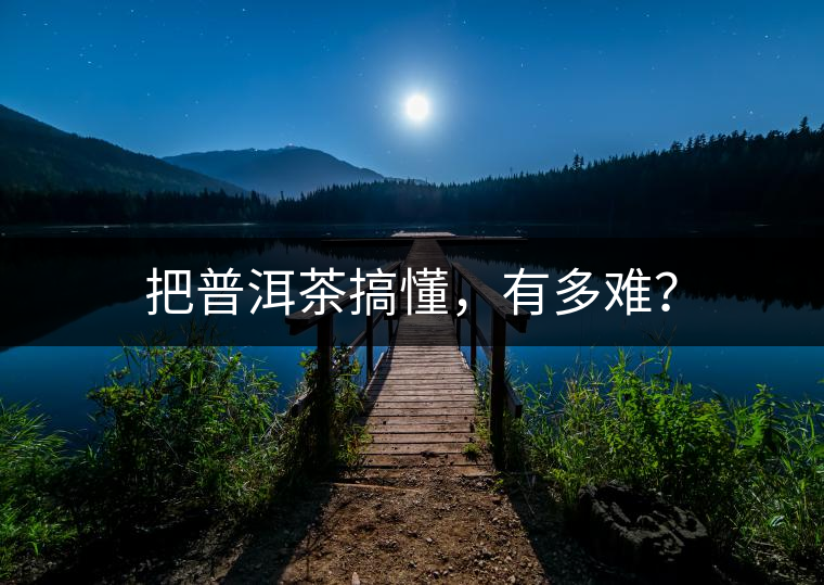 把普洱茶搞懂，有多難？