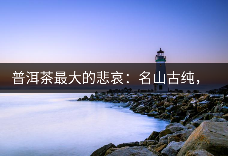 普洱茶最大的悲哀：名山古純，高端熟茶的未來在哪里？