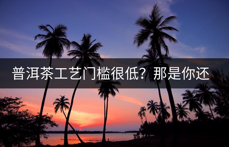 普洱茶工藝門(mén)檻很低？那是你還沒(méi)有參透工藝與自然之間的奧秘！