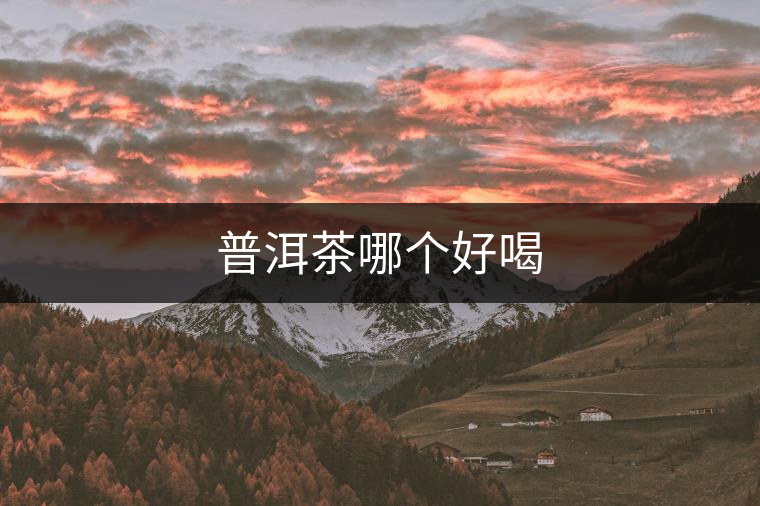 普洱茶哪個(gè)好喝 普洱茶哪個(gè)好喝