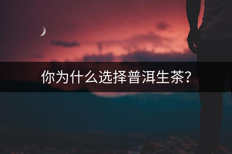 你為什么選擇普洱生茶？