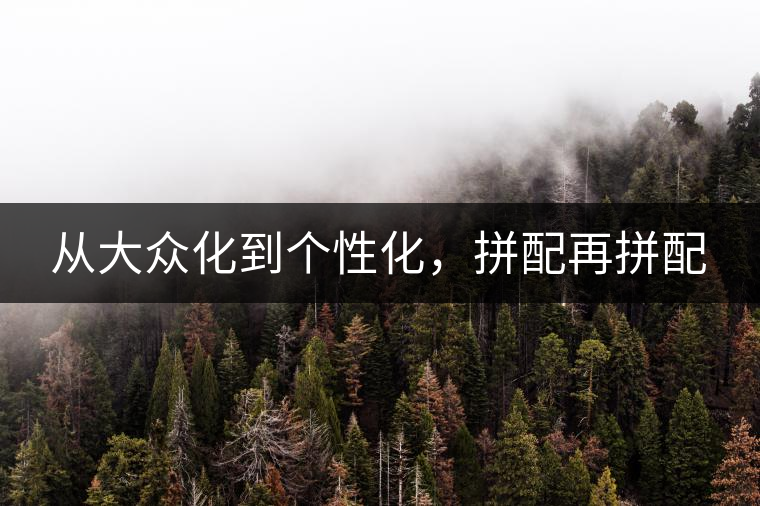 從大眾化到個(gè)性化，拼配再拼配