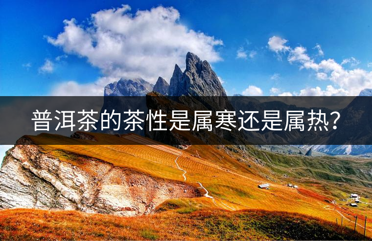 普洱茶的茶性是屬寒還是屬熱？