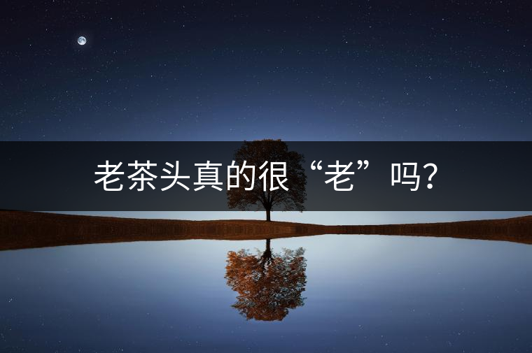 老茶頭真的很“老”嗎？