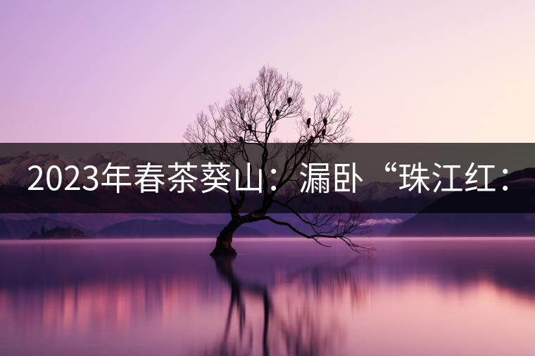 2023年春茶葵山：漏臥“珠江紅：1200元-3200元（有3個(gè)檔次）漏臥“大廠茶”：古樹(shù)單株8600-9000元／公斤，中樹(shù)4800-5200元／公斤，小樹(shù)混采2600-2800元／公斤。