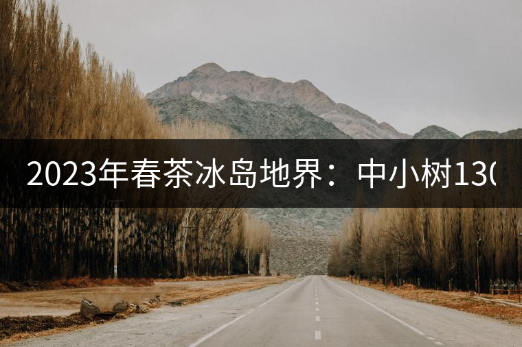 2023年春茶冰島地界：中小樹1300-1500元／公斤，古樹2200~2500元／公斤
