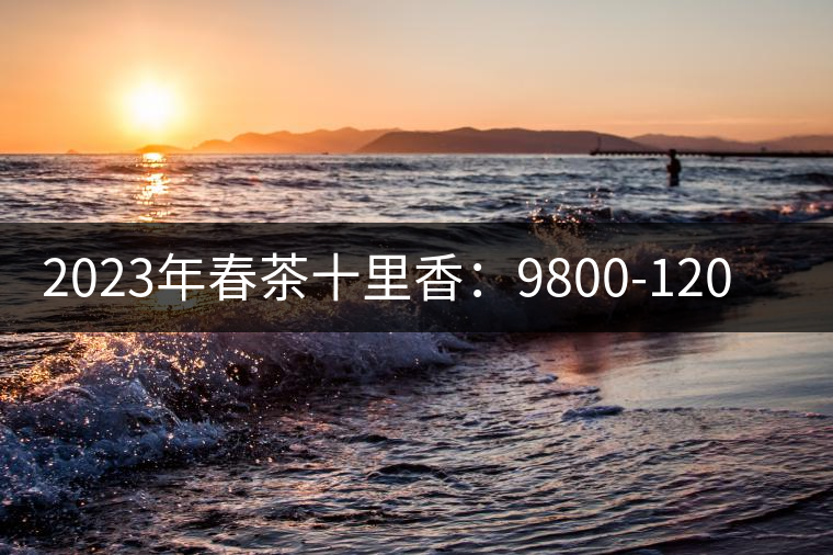 2023年春茶十里香：9800-12000元／公斤，十里香紅茶：9800-12000元／公斤