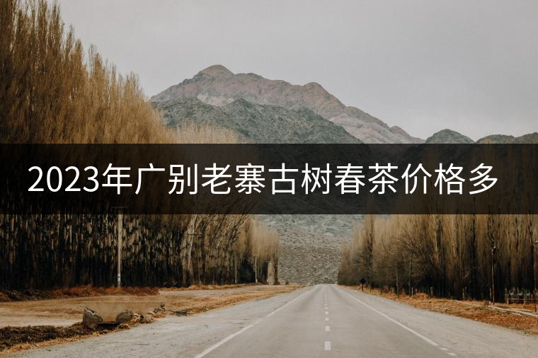 2023年廣別老寨古樹春茶價格多少？