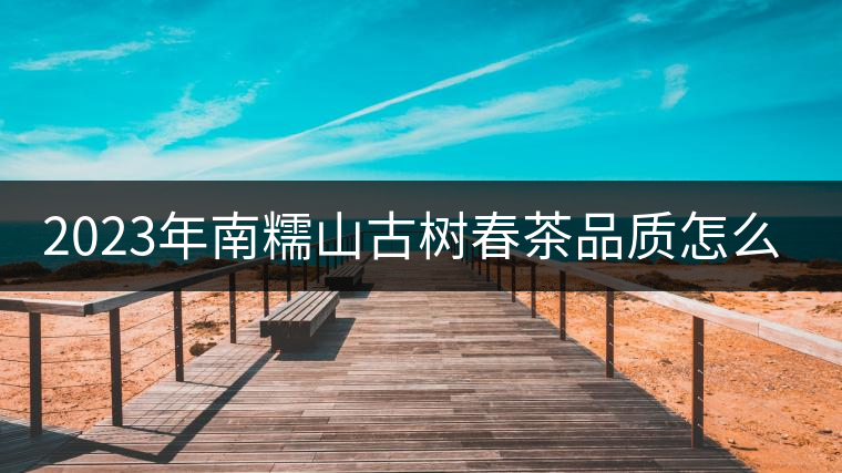2023年南糯山古樹春茶品質(zhì)怎么樣？