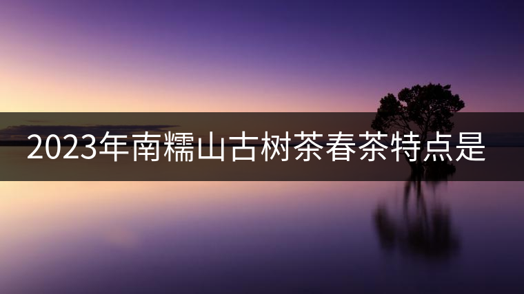 2023年南糯山古樹茶春茶特點是什么？