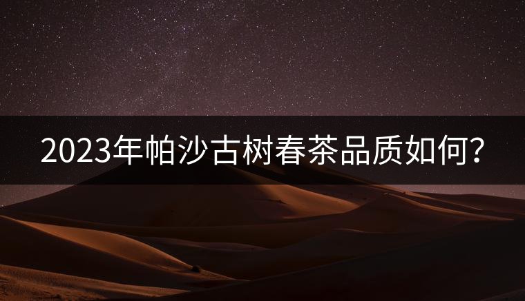 2023年帕沙古樹春茶品質(zhì)如何？
