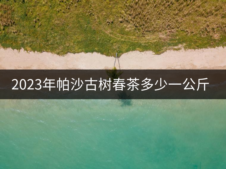 2023年帕沙古樹春茶多少一公斤？