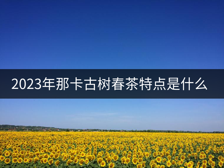 2023年那卡古樹春茶特點(diǎn)是什么？