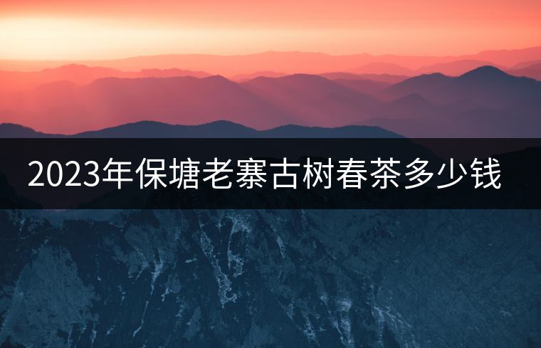2023年保塘老寨古樹春茶多少錢一公斤？