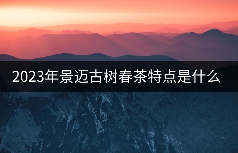 2023年景邁古樹春茶特點(diǎn)是什么？