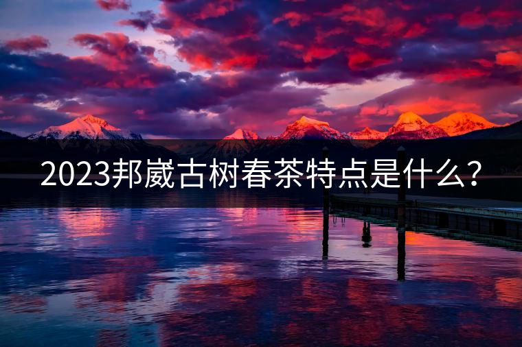 2023邦崴古樹春茶特點是什么？