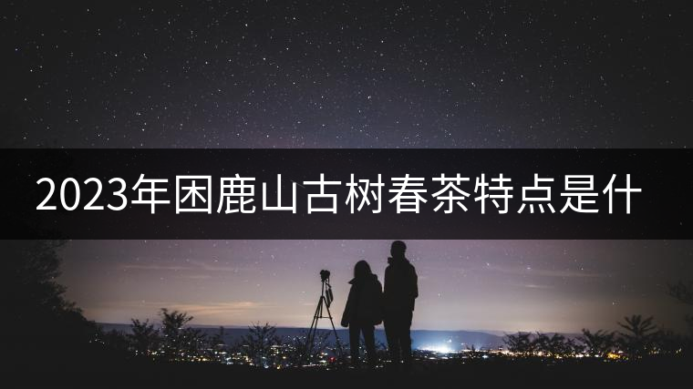 2023年困鹿山古樹春茶特點(diǎn)是什么？