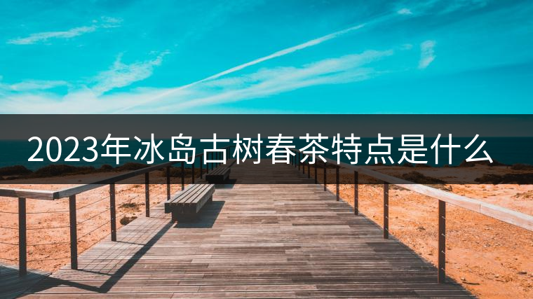 2023年冰島古樹春茶特點(diǎn)是什么？