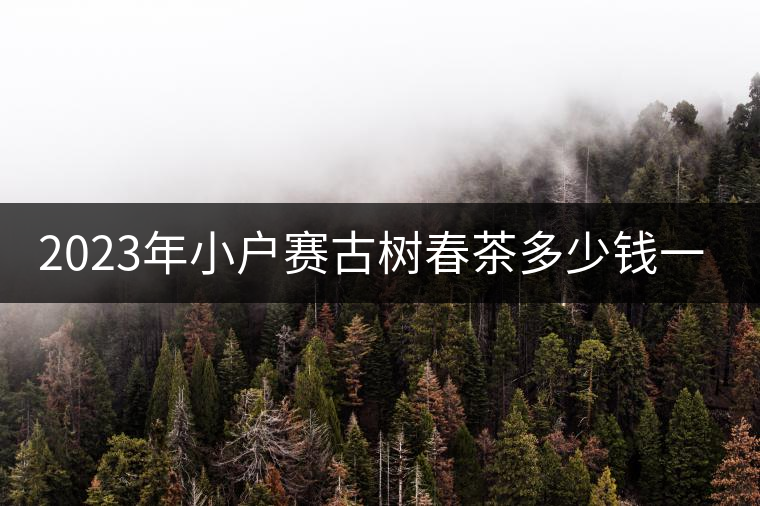 2023年小戶(hù)賽古樹(shù)春茶多少錢(qián)一公斤？