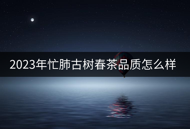 2023年忙肺古樹春茶品質(zhì)怎么樣？