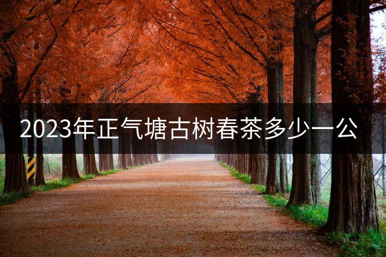 2023年正氣塘古樹春茶多少一公斤？