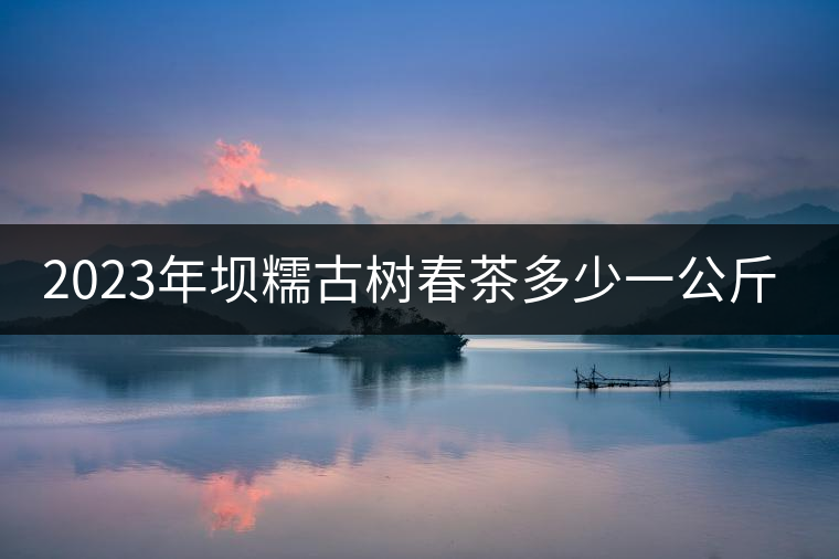 2023年壩糯古樹春茶多少一公斤？
