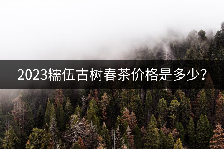 2023糯伍古樹(shù)春茶價(jià)格是多少？
