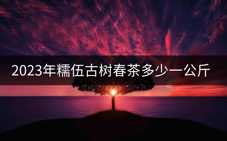 2023年糯伍古樹(shù)春茶多少一公斤？