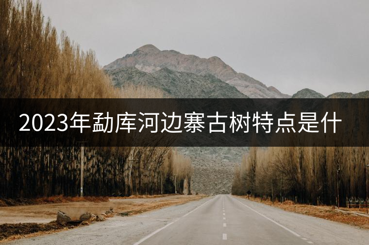 2023年勐庫(kù)河邊寨古樹(shù)特點(diǎn)是什么？