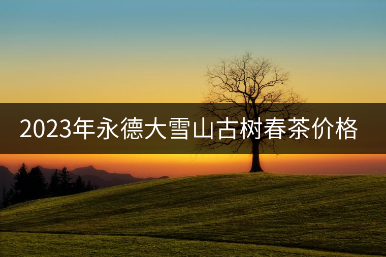 2023年永德大雪山古樹春茶價格是多少？