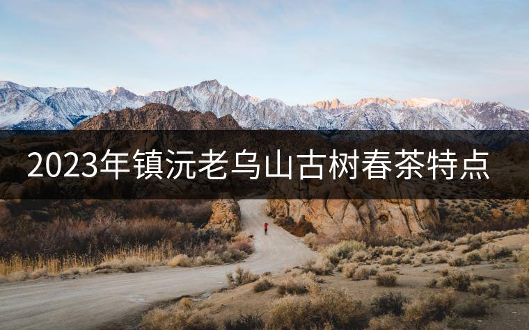 2023年鎮(zhèn)沅老烏山古樹春茶特點(diǎn)是什么？