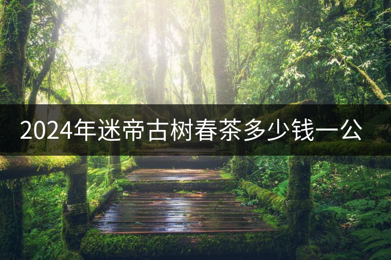 2024年迷帝古樹春茶多少錢一公斤？