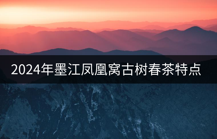 2024年墨江鳳凰窩古樹春茶特點是什么？