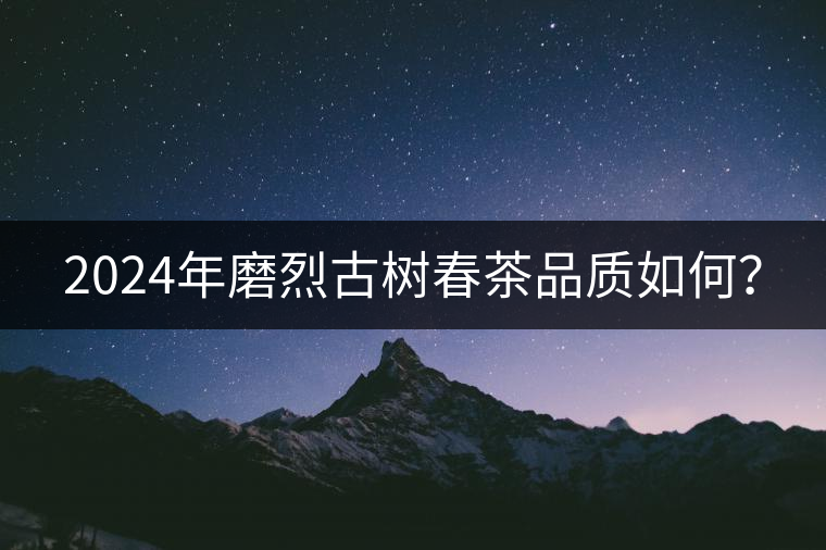 2024年磨烈古樹春茶品質(zhì)如何？