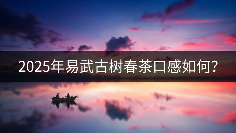 2025年易武古樹(shù)春茶口感如何？