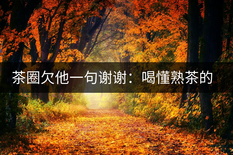茶圈欠他一句謝謝：喝懂熟茶的人，都該記住陳佩仁這個(gè)名字