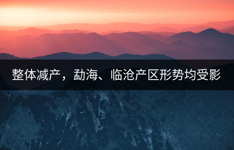 整體減產(chǎn)，勐海、臨滄產(chǎn)區(qū)形勢(shì)均受影響