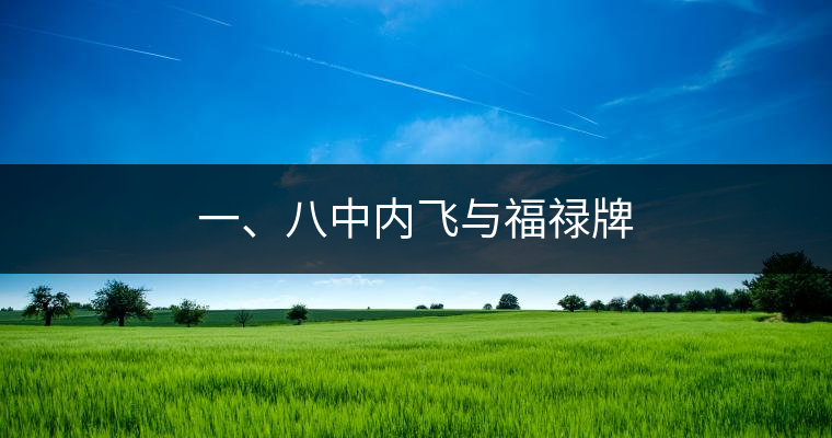一、八中內(nèi)飛與福祿牌