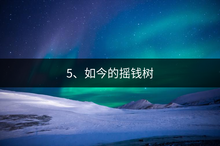 5、如今的搖錢樹