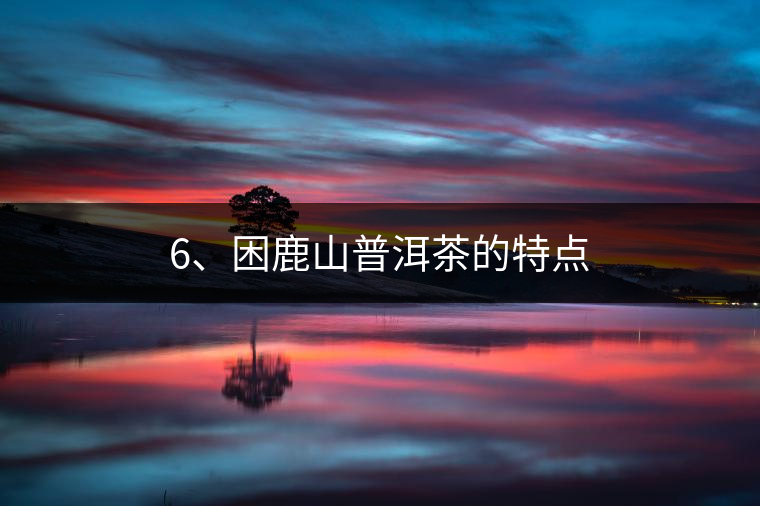 6、困鹿山普洱茶的特點