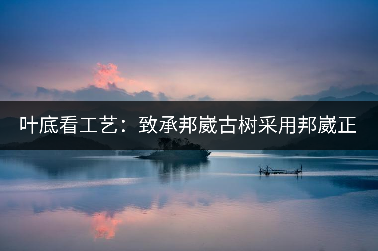 葉底看工藝：致承邦崴古樹采用邦崴正山三百至五百年古茶樹頭春鮮葉。經(jīng)手工殺青，石墨壓制，餅型周正，嚴守傳統(tǒng)工藝；葉底鮮活，幾乎無糊點，前期殺青較輕，這樣更利于后期轉(zhuǎn)化。