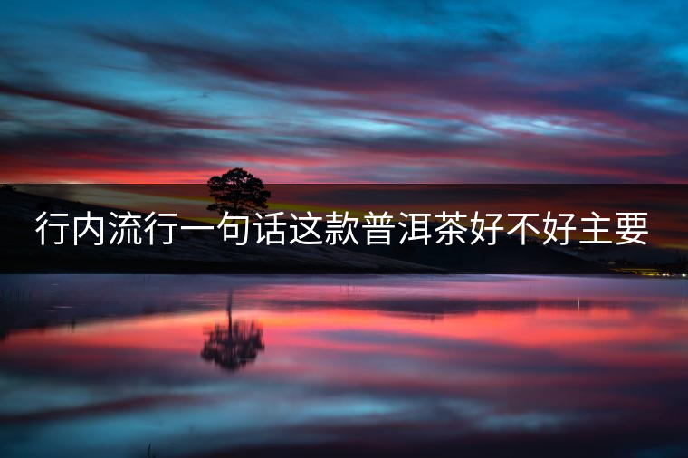 行內(nèi)流行一句話這款普洱茶好不好主要還看尾水，雖然比較片面但是也有一定道理。