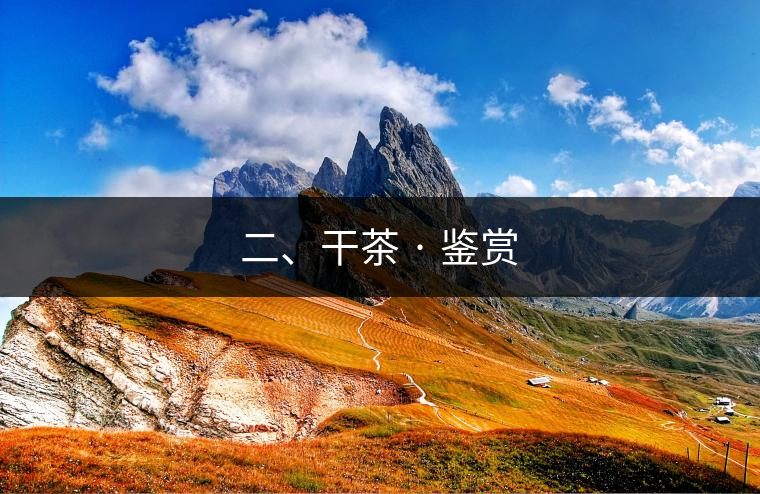 二、干茶 · 鑒賞
