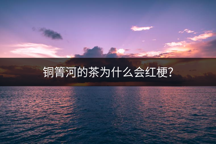 銅箐河的茶為什么會紅梗？